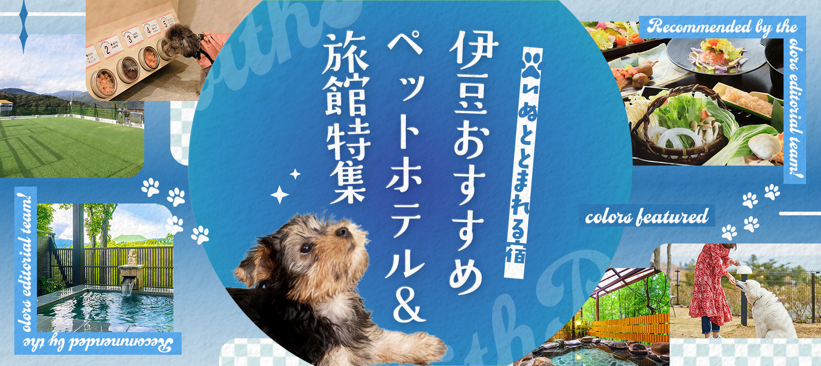 犬と泊まれる宿 伊豆おすすめ7選｜ペットOKホテル・旅館特集