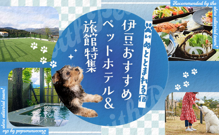 犬と泊まれる宿 伊豆おすすめ7選｜ペットOKホテル・旅館特集