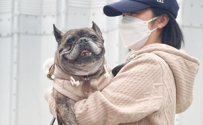 愛犬と遊ぶ 寛ぐ ショッピング Dog Dept Garden ペット カラーズ